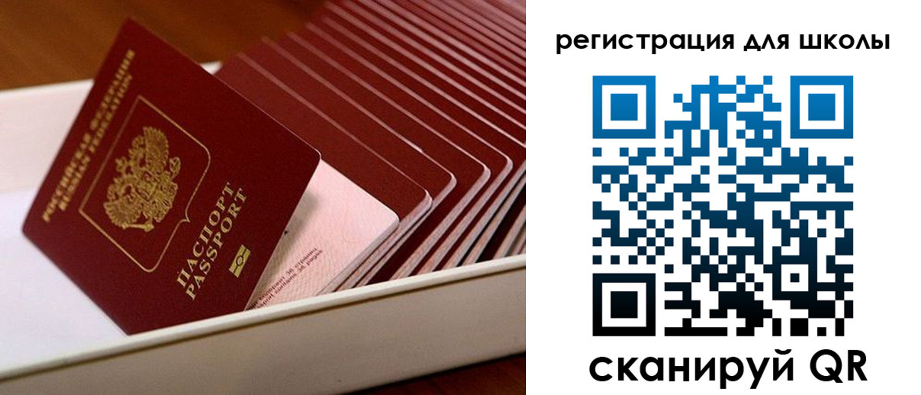 прописка гарантия в Светлогорске