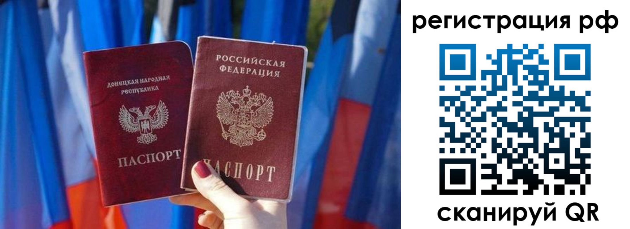 где прописаться в Светлогорске